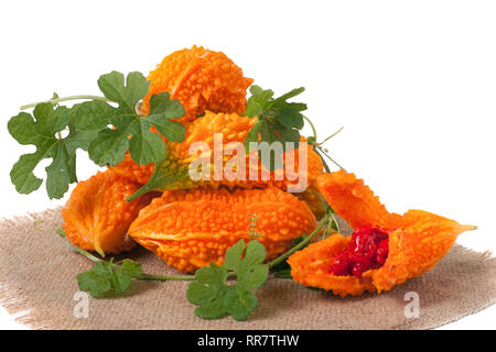 Tas de melon amer ou Momordica avec des feuilles isolées sur fond blanc Banque D'Images