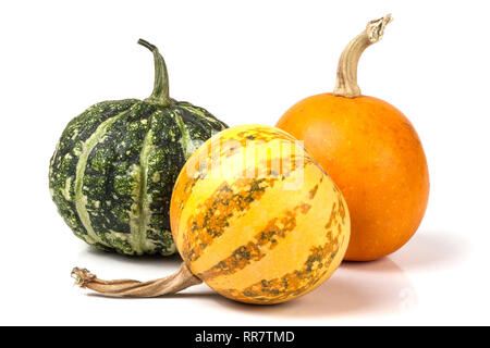 Trois citrouilles décoratives isolé sur fond blanc Banque D'Images