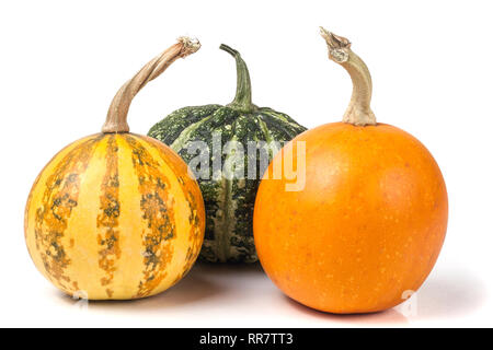 Trois citrouilles décoratives isolé sur fond blanc Banque D'Images