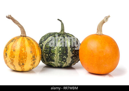 Trois citrouilles décoratives isolé sur fond blanc Banque D'Images