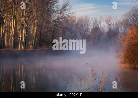 Le brouillard du matin au lever du soleil sur la rivière Sile à Casale sul Sile. Des arbres sur les rives, Banque D'Images