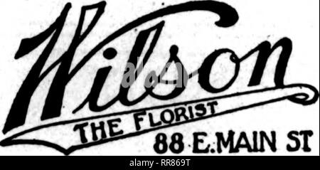 . Les fleuristes [microforme] examen. La floriculture. ALBANY, N. Y. HOLMES BROS. 20 avenue centrale 311, rue Steuben Pas de commande trop envie ni trop recelye imall à notre courteons attentton invite et Pine Street, 30 octobre pour les entreprises par- à l'émission. 'Il aura Mlle Florence Patterson à l'aider dans le travail. Mme Patterson est bien connu pour l'échange, ayant eu charge de l'office à la 1917 Spring Flower show. La semaine de l'émission l'office sera déplacé vers le Colisée. William été, de l'A. L. Bandall Co., Chicago, et Julius Dilloff, soit Wertheimer Bros., New York Banque D'Images