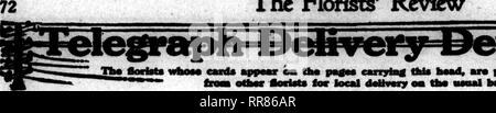 . Les fleuristes [microforme] examen. La floriculture. Le Rorists Revkw*. 26 OcTOBBS patfM, 1922 e emnybag* thia hmd, pour doUvory locaux oo to* aro à prapuod ordon grippe. Veuillez noter que ces images sont extraites de la page numérisée des images qui peuvent avoir été retouchées numériquement pour plus de lisibilité - coloration et l'aspect de ces illustrations ne peut pas parfaitement ressembler à l'œuvre originale.. Chicago : les fleuristes Pub. Co Banque D'Images