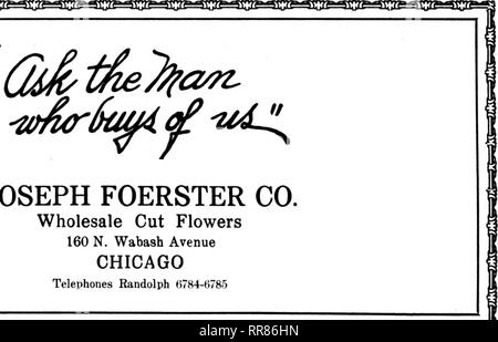 . Les fleuristes [microforme] examen. La floriculture. JOSEPH FOERSTER CO. coupées en gros 160 N. Wabash Avenue Chicago Telephones Randolph 6784-0785 '^^"OSS"^SS&amp;'SOuSSf^^fSSif^^SJSSS iEGSSi SSS'^^ - AV .A.;t'^&Lt ;.w .  ^.'. Veuillez noter que ces images sont extraites de la page numérisée des images qui peuvent avoir été retouchées numériquement pour plus de lisibilité - coloration et l'aspect de ces illustrations ne peut pas parfaitement ressembler à l'œuvre originale.. Chicago : les fleuristes Pub. Co Banque D'Images