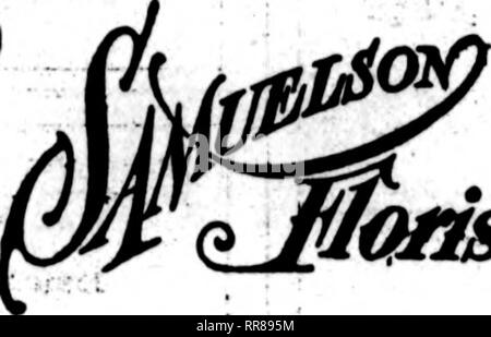 . Les fleuristes [microforme] examen. La floriculture. Les membres F, FLEURISTES ATHENIA D. T. : : fleuristes de Chicago, les théâtres de l'établissement situé au 76 WEST WASHINGTON STREET, CHICAGO CHICAGO BANLIEUE FLOPtST ^ 3457 N. HAMILTON AVE. Kvantngt OptW uA dimanche. Les États C. T. D. GEORGE FISHER &AMP ; FR. 183 N. WABASH AVE. CHICAGO CENTRALIA, MAUVAIS Les Serres Webster Finest boutique dans le sud de l'Illinoia États F. D. T. CENTRALIA. Mauvais. JX7 ROQQ nous servir la cause fol . W. rVV-^OO Illinois villes, service de train direct : Mt. Vernon, Wayne City. Kair- champ. Sesser, Christopher, Herrin, Ashley, Location- bondale, Na Banque D'Images