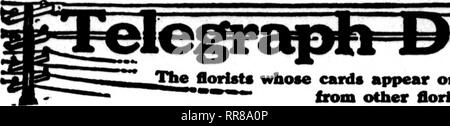 . Les fleuristes [microforme] examen. La floriculture. 120 La Revue Dbcbmbkb pour fleuristes 28, 1922. Flqrtote whoae .les cartes apparaissent sur les pages contenant cette tête, sont prêts à remplir les commandes '"" "" d'autres fleuristes pour deUvery locaux sur la base habituelle. '. Veuillez noter que ces images sont extraites de la page numérisée des images qui peuvent avoir été retouchées numériquement pour plus de lisibilité - coloration et l'aspect de ces illustrations ne peut pas parfaitement ressembler à l'œuvre originale.. Chicago : les fleuristes Pub. Co Banque D'Images