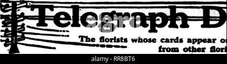 . Les fleuristes [microforme] examen. La floriculture. 122^ Deceubeb les fleuristes d'examen 21, J9ae. Flortots Jhe dont les cartes apparaissent sur les pages carryhig ce chef, sont prêts à l'ordre de la grippe* ? ?"" d'autres fleuristes pour la livraison locale sur l'habituel ImmIs. - - '. Veuillez noter que ces images sont extraites de la page numérisée des images qui peuvent avoir été retouchées numériquement pour plus de lisibilité - coloration et l'aspect de ces illustrations ne peut pas parfaitement ressembler à l'œuvre originale.. Chicago : les fleuristes Pub. Co Banque D'Images
