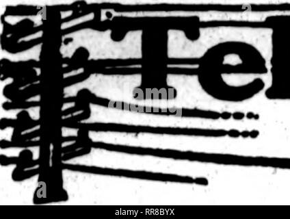 . Les fleuristes [microforme] examen. La floriculture. 21, 1922 DKCBMBBR^ Les fleuristes d'examen. Veuillez noter que ces images sont extraites de la page numérisée des images qui peuvent avoir été retouchées numériquement pour plus de lisibilité - coloration et l'aspect de ces illustrations ne peut pas parfaitement ressembler à l'œuvre originale.. Chicago : les fleuristes Pub. Co Banque D'Images