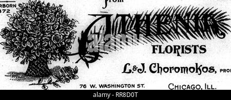 . Les fleuristes [microforme] examen. La floriculture. Téléphones : 5798 CENTRALE 2872 DEARBORN ACHETER Y0}^ FLOWEI^S LES MEMBRES DU rom de F.T. une association. FLOIJISTS jG.^cJ. ChoroiT« ol5os, PROP. 76 W. WASHINGTON ST. Chicago, III. Nous sommes situé au centre et peut faire des livraisons rapides partout dans Chicago. Nous sommes bien connus ici comme les fleuristes à presque tous les théâtres de Chicago avant tout. Sur vos ordres télégraphiques nous promettent un super- service ior qui prendra en compte favorablement pour vous. Obtenir votre part d'ordres télégraphiques commencer Yowr annonce a"zt WMk par maUing ce chèque en blanc aujourd'hui .19. Les fleuristes PUBLISHING CO., 508 South Dearborn S Banque D'Images