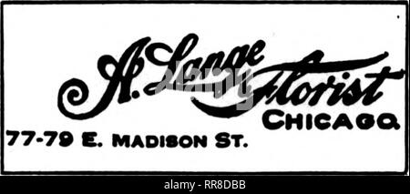 . Les fleuristes [microforme] examen. La floriculture. Envoyez vos commandes à Chicago, H. N. BRUNS Meilleur Eaoipped Store sur le côté ouest 3040 W. Madison St.. CHICAGO. Mauvais.. Veuillez noter que ces images sont extraites de la page numérisée des images qui peuvent avoir été retouchées numériquement pour plus de lisibilité - coloration et l'aspect de ces illustrations ne peut pas parfaitement ressembler à l'œuvre originale.. Chicago : les fleuristes Pub. Co Banque D'Images