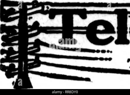 . Les fleuristes [microforme] examen. La floriculture. 23, 1922 NOVEMBBB^ Les fleuristes d'examen. L'Opuntia"t" dont les cartes apparaissent sur les pages contenant cette tête, sont prêts à remplir le oiders  ^'*- d'autres fleuristes pour la livraison locale sur la base d'habitude.. Veuillez noter que ces images sont extraites de la page numérisée des images qui peuvent avoir été retouchées numériquement pour plus de lisibilité - coloration et l'aspect de ces illustrations ne peut pas parfaitement ressembler à l'œuvre originale.. Chicago : les fleuristes Pub. Co Banque D'Images