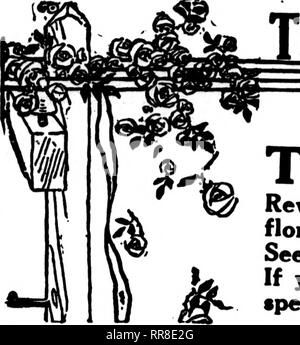 . Les fleuristes [microforme] examen. La floriculture. 28, 1922 NOVEMBBB^ les fleuristes. gkgraph 97 Revue Departinent livraison = les fleuristes dont les cartes apparaissent dans ^^ La partie rose de l'examen pour fleuristes sont prêts à remplir les commandes des autres fleuristes, pour la livraison locale, sur la base habituelle. Voir l'index par villes sur l'foUowingf p&amp;ge. Si votre ville n'est pas représenté, il y a une bonne occasion pour vous. '^. Veuillez noter que ces images sont extraites de la page numérisée des images qui peuvent avoir été retouchées numériquement pour plus de lisibilité - coloration et l'aspect de ces illustrations ne peut pas perf Banque D'Images