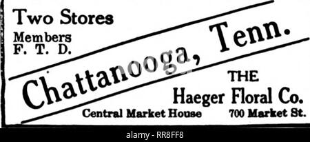 . Les fleuristes [microforme] examen. La floriculture. Geny Bros.' FST Membres les fleuristes Livraison de télégraphe 212 5e Avenue Nord. NASHVILLE, Tenn.. "Nous ne dorment jamais" Idlewrild L'IVf* T MeiTipnlS Serres, 161111. 89, rue Principale Sud "jusqu'à la minute" et de l'exécution du service télégraphique pour fleuristes membre Envoyer Livraison aU MEMPHIS des ordres à la boutique de fleurs 81 avenue Union MEMPHIS, Tennessee Memphis, Tennessee JOHNSON'S GREENHOUSES 161 MADISON AVE. Créé 1888 Florists' Membre Prestation Télégraphe Ass'n Knoxville, Tennessee CROUCH, norist .."cr.II/er les fleuristes Livraison de télégraphe LAKOKST AMO Banque D'Images