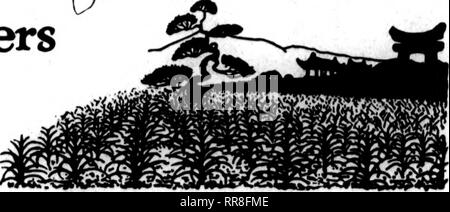 . Les fleuristes [microforme] examen. La floriculture. Ampoule américain CbAi(^tout ; les importateurs O Growers 172 N. WABASH AVENUE CHICACa ILLINOIS. i4. B. C ''" Qualité suprême les fleuristes qui se sont récemment rendus dans nos entrepôts et examinés cette année, le stock d'ampoules toujours exprimé une grande satisfaction avec la qualité élevée de même et nous étendre à l'échange en général une cordiale invitation à faire une inspection personnelle de nos plus complète et une vaste gamme d'ampoule. SERVICE !, avec notre grande expérience de travail et nous pouvons assurer les acheteurs de Riling attentif de leurs commandes combinées avec l'expédition rapide. IMFORTAN Banque D'Images