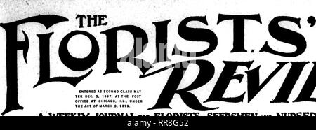 . Les fleuristes [microforme] examen. La floriculture. lO c. la copie 2 $ ABONNEMENTS TER i par DEC. J. 1897, AU BUREAU DE POSTE À CHICASO. Mauvais . La loi de l'UEDN DU 3 MARS 1679. rRBlBV JOUDNAL"" UNE FOIS PAR SEMAINE LES FLEURISTES. Les semenciers *"" les pépiniéristes. FLOKI.STS' PUBLISHING CO.. 510 Buildini : Caxton, 508 South Dearborn Street, Chicago. Vol. LI. CHICAGO, le 14 décembre 1922. N° 1307. Nouvelle RÉCOLTE DE SEMENCES SALVIA Tr. pkt. Oz. L'AMÉRIQUE, meilleur marché à 0,50 $ 4,50 $ CLARA BEDMAN 40 2,50 0,40 2,50 LES POINTES TOMBANTES POUR LES CULTURES EN CONTINU des bulbes de nénuphar Plante, pour l'instant le Foriiiosuui et plus tard le concert- iintcuiii variété. Banque D'Images