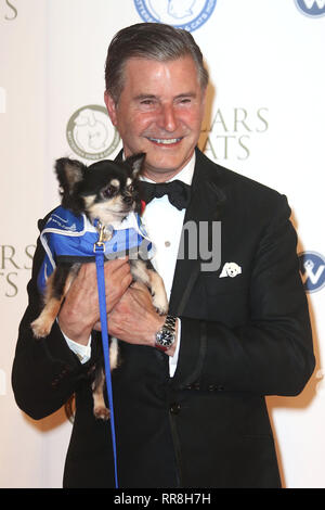 Nov 12, 2015 - Londres, Angleterre, Royaume-Uni - Battersea Dogs & Cats Accueil Colliers et bal de gala Manteaux - Tapis Rouge photo montre des arrivées : Guest Banque D'Images