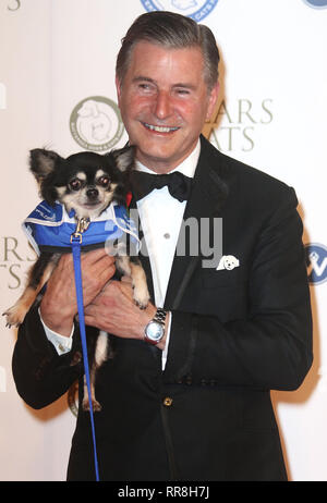 Nov 12, 2015 - Londres, Angleterre, Royaume-Uni - Battersea Dogs & Cats Accueil Colliers et bal de gala Manteaux - Tapis Rouge photo montre des arrivées : Guest Banque D'Images