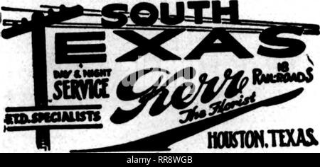 . Les fleuristes [microforme] examen. La floriculture. SAN ANTONIO, TEXAS AVENUE C à 8TH STREET PLUS GRAND MAGASIN DE FLEUR DANS LE SUD-OUEST DES ORDRES TÉLÉGRAPHIQUES UNE SPÉCIALITÉ AUSTIN. TEXAS AUSTIN CO, Inc. Flowerland floral. 722, av. CongrcM 9000 pieds en verre. 7 acres de fleurs LA PLUS GRANDE PLACE D'Austin Austin, Texas HILLYER'S ÉTATS F. D. T.. naKTON.TIXA&amp ; POUR L'OUEST ET LE CENTRE DU TEXAS ET LES CHAMPS DE PÉTROLE '^^J' riS Brownwood, TEXAS BROWNWOOD Co. Floral Nous sommes prêts à remplir les commandes yonr Maoibm F. T. O. FLAGG COMPAGNIE attentiaa Floral spécial pour tous les flux coupe"n, plantes, Floral ordan. larve ou petite Dasisna et Caak Banque D'Images
