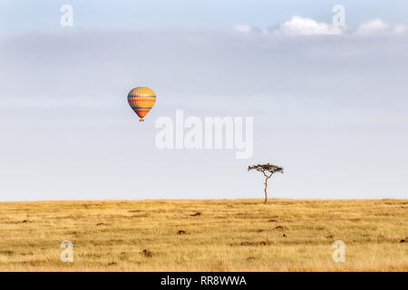 Acacia solitaire avec les vautours, sur la prairie de la Masai Mara, avec un ballon à air chaud dans le ciel Banque D'Images