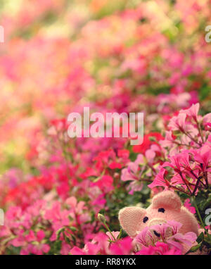 Passionnant incroyable scène avec handmade pink piggy se cacher dans le jardin de fleurs (géraniums), close up shot cochon tricoté coloré visage parmi les fleurs du printemps avec blur Banque D'Images