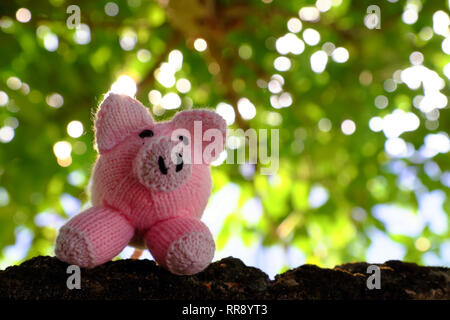 Incroyable scène amusante avec des cochon rose se tenir sous le couvert de l'arbre vert, Close up shot of piggy tricotés avec arrière-plan flou de figuiers au jour Banque D'Images