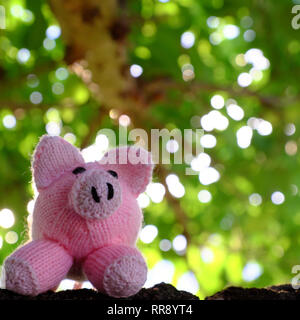 Incroyable scène amusante avec des cochon rose se tenir sous le couvert de l'arbre vert, Close up shot of piggy tricotés avec arrière-plan flou de figuiers au jour Banque D'Images