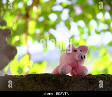 Incroyable scène amusante avec des cochon rose se tenir sous le couvert de l'arbre vert, Close up shot of piggy tricotés avec arrière-plan flou de figuiers au jour Banque D'Images