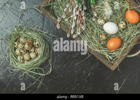 Oeufs de caille sur le nid de foin, les oeufs de poule et de branches de saule et de branches vertes de thread dans un coffret en bois, béton noir surface de la table. Rustique foncé sty Banque D'Images