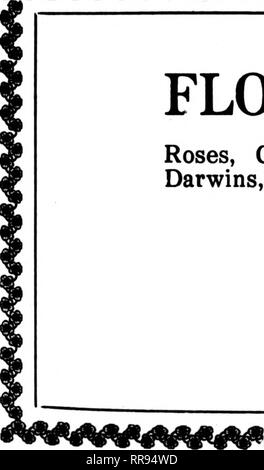 . Les fleuristes [microforme] examen. La floriculture. La qualité des fleurs roses, des Œillets, les petits pois, mufliers, Lys, Darwins, Calendulas, Vallée et d'autres fleurs pour les acheteurs dont le commerce exige le meilleur. JOSEPH FOERSTER CO. grossistes en fleurs coupées 160 North Wabash Avenue. CHICAGO Demander à l'homme qui achète chez nous. Veuillez noter que ces images sont extraites de la page numérisée des images qui peuvent avoir été retouchées numériquement pour plus de lisibilité - coloration et l'aspect de ces illustrations ne peut pas parfaitement ressembler à l'œuvre originale.. Chicago : les fleuristes Pub. Co Banque D'Images