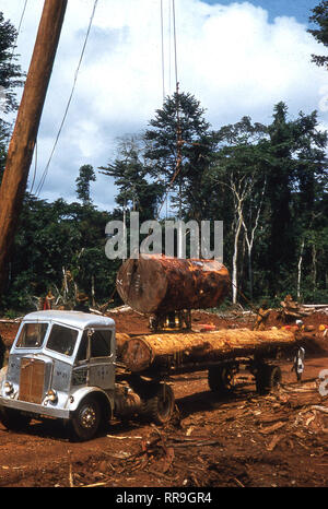 1960s, Ghana, Afrique de l'Ouest, de grosses billes d'arbres sont chargées à l'arrière d'un camion dans la forêt ghanéenne.Bien qu'un produit d'exportation clé, de nombreuses parties du pays ont été fortement enregistrées à cette époque, ce qui a conduit à une déforestation sévère, avec des menaces subséquentes pour la faune indigène, les écosystèmes et les modèles météorologiques. Banque D'Images