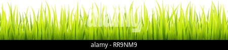 Frais et vert de l'herbe de printemps la croissance. Pelouse printemps éclairée avec une lumière du soleil pendant la journée. Hauteur sans bannière de fines herbes Illustration de Vecteur
