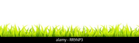 Printemps lumineux bannière de pelouse. L'été ou au printemps de l'herbe sans décoration. Verdure fraîche hauteur Illustration de Vecteur