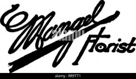 . Les fleuristes [microforme] examen. La floriculture. Le UNEXCELXiED WIENHOEBER INSTALLATIONS DE L'E.CO. 22 E. ELM ST., Chicago sont disponibles à l'échange en fllllngr toutes les commandes. Les États F. D. T. CHICAGO trois magasins. PALMER HOUSE DRAKE HOTEL HÔTEL BLACKSTONE États F. D. T. 77&gt;79 E. MADISON ST. Chicaoo envoyer vos commandes à Chicago, H. N. BRUNS Beat équipée Store sur le côté ouest 3040 W Madison St.. CHICAGO, ILL.. Veuillez noter que ces images sont extraites de la page numérisée des images qui peuvent avoir été retouchées numériquement pour plus de lisibilité - coloration et l'aspect de ces illustrations ne peut pas Banque D'Images