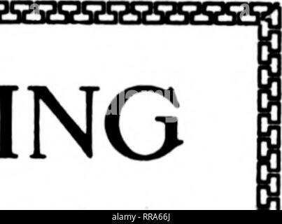 . Les fleuristes [microforme] examen. La floriculture. 34 La revue NOVKUBER^ Fleuristes 9. 1922 affiche cette semaine à St Louis, les fleurs, généralement pas lieu si tard, d'être en bonne forme. Les juges L'attribua la médaille de S. A. C. nouvelle présentation. L'illustration de la page 32 montre une prolifération du nouvel hybride en comparaison avec du poisson blanc, N. gracilis, du Mexique. Le compte suivant de la variété apparaît dans la , numéro d'octobre du bulletin du Jardin Botanique du Missouri : "Selon les producteurs commerciaux, il existe une demande croissante par le public pour un jour blanc tropical-bloom- ing Banque D'Images