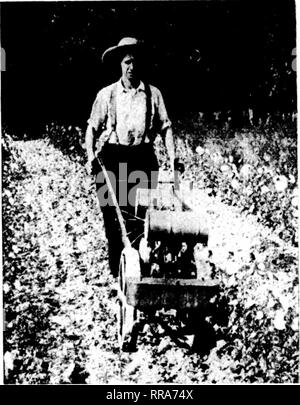 . Les fleuristes [microforme] examen. La floriculture. Dans le champ d'oeillet.. Veuillez noter que ces images sont extraites de la page numérisée des images qui peuvent avoir été retouchées numériquement pour plus de lisibilité - coloration et l'aspect de ces illustrations ne peut pas parfaitement ressembler à l'œuvre originale.. Chicago : les fleuristes Pub. Co Banque D'Images