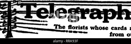 . Les fleuristes [microforme] examen. La floriculture. JUNB 8, 1922 Les fleuristes^ 71 examen. Veuillez noter que ces images sont extraites de la page numérisée des images qui peuvent avoir été retouchées numériquement pour plus de lisibilité - coloration et l'aspect de ces illustrations ne peut pas parfaitement ressembler à l'œuvre originale.. Chicago : les fleuristes Pub. Co Banque D'Images