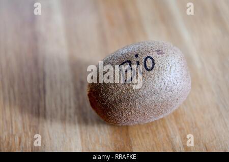 Osterode am Harz, Allemagne. Feb 20, 2019. Le kiwi, Allemagne, ville d'Osterode, 20. Février 2019. Crédit : Frank May | utilisée dans le monde entier/dpa/Alamy Live News Banque D'Images