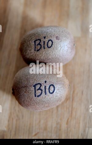 Osterode am Harz, Allemagne. Feb 20, 2019. kiwifruits, Allemagne, ville d'Osterode, 20. Février 2019. Crédit : Frank May | utilisée dans le monde entier/dpa/Alamy Live News Banque D'Images