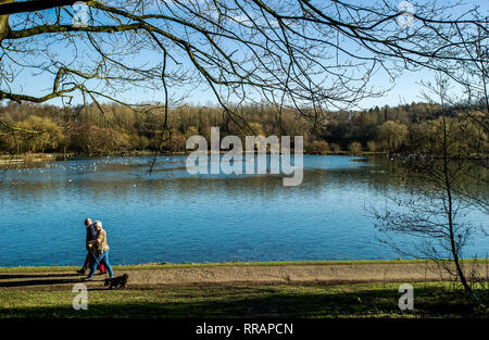 Bolton, Lancashire. 25 févr. 2019. Météo France : un soleil radieux à Moses Gate Country Park, Bolton, Lancashire comme le beau temps continue dans le nord-ouest de l'Angleterre. Régions du Royaume-Uni pourraient atteindre leur journée de février le plus chaud jamais enregistré en tant que siège de haute pression sur le pays. Un couple marcher leur chien autour d'une des loges. Photo par : Paul Heyes/Alamy Live News Banque D'Images