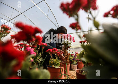 La bande de Gaza. Feb 25, 2019. Rewaa Al-Najjar, 22 Palestiniens, vérifie les fleurs à sa pépinière de fleurs dans le sud de la bande de Gaza ville de Khan Younis, 25 février 2019. Al-Najjar a débuté sa pépinière de fleurs il y a trois mois. Elle a planté près de 20 espèces de fleurs. Credit : Stringer/Xinhua/Alamy Live News Banque D'Images