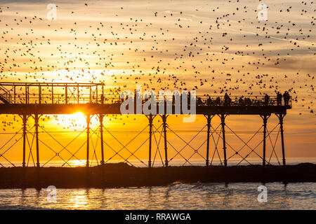 Aberystwyth, Pays de Galles. 25 févr. 2019. Météo France : février le plus chaud jamais enregistré au Royaume-Uni à Ceredigion, avec de jour à plus de 20 degrés. L'étourneau murmuration au Royal Pier.Aberystwyth, Ceredigion au coucher du soleil, le Pays de Galles, Royaume-Uni Crédit : Paul Quayle/Alamy Live News Banque D'Images