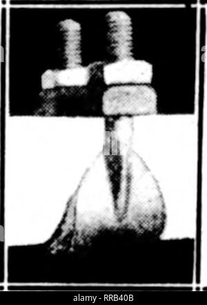 . Les fleuristes [microforme] examen. La floriculture. 146^ Januabv les fleuristes d'examen 19. 1922 Dougall ? "L'emplacement de la pompe calcul cir faire une différence ? L. C. L.-Pa. Vous ne donnez aucune idée claire de l'arrangement de la tuyauterie dans le garage, et donc le mieux qu'on puisse faire est de suggérer plusieurs choses qui pourraient faire l'objet d'une enquête. Il semble que le problème est dû à une obstruction de la circulation, soit dans la conduite principale de la chaudière, ou par les radiateurs air- ment-lié. Il n'est guère probable que le plombier n'a pas fourni d'air automatique. Ces, de co Banque D'Images