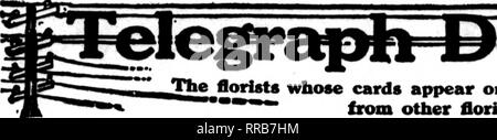 . Les fleuristes [microforme] examen. La floriculture. Dbcbmbbb 29, 1921 La revue ^ 93 pour fleuristes. Florirts Jhe dont les cartes apparaissent sur les pages contenant cette tête, sont prêts à remplir les commandes """" d'autres fleuristes pour la livraison locale sur l'habitude. biuis. Veuillez noter que ces images sont extraites de la page numérisée des images qui peuvent avoir été retouchées numériquement pour plus de lisibilité - coloration et l'aspect de ces illustrations ne peut pas parfaitement ressembler à l'œuvre originale.. Chicago : les fleuristes Pub. Co Banque D'Images