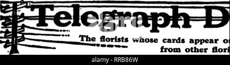 . Les fleuristes [microforme] examen. La floriculture. Januaby 5, 1922. Les fleuristes^ 89 d'examen. JThetlorMs cartes dont apparaissent sur les pages contenant cette tête, sont prêts à remplir les commandes *" d'autres fleuristes pour la livraison locale sur la base habituelle.  ?"" ". Veuillez noter que ces images sont extraites de la page numérisée des images qui peuvent avoir été retouchées numériquement pour plus de lisibilité - coloration et l'aspect de ces illustrations ne peut pas parfaitement ressembler à l'œuvre originale.. Chicago : les fleuristes Pub. Co Banque D'Images