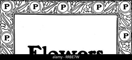 . Les fleuristes [microforme] examen. La floriculture. Vendre des fleurs qui POEHLNANN BROTHERS COMPANY Le plus grand producteur de fleurs dans le monde Lontf Distance Randolph 35 CHICAGO. Veuillez noter que ces images sont extraites de la page numérisée des images qui peuvent avoir été retouchées numériquement pour plus de lisibilité - coloration et l'aspect de ces illustrations ne peut pas parfaitement ressembler à l'œuvre originale.. Chicago : les fleuristes Pub. Co Banque D'Images
