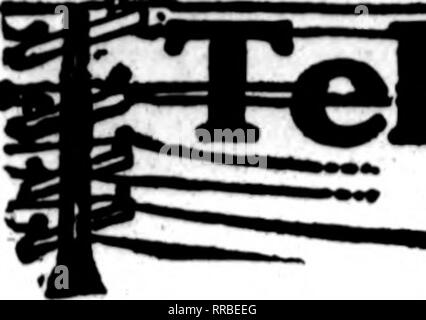 . Les fleuristes [microforme] examen. La floriculture. Fbbbuaky 23, 1922 L'examen les fleuristes. Le UatiMU cafds qui apparaissent sur les pages contenant cette tête, sont prêts à remplir de oiders autres fleuristes pour la livraison locale sur la base d'habitude.. Veuillez noter que ces images sont extraites de la page numérisée des images qui peuvent avoir été retouchées numériquement pour plus de lisibilité - coloration et l'aspect de ces illustrations ne peut pas parfaitement ressembler à l'œuvre originale.. Chicago : les fleuristes Pub. Co Banque D'Images