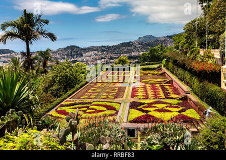 Les jardins botaniques (Jardim Botanico), Funchal, Madère, Portugal. Banque D'Images