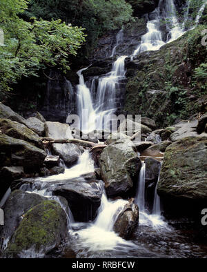 L'Irlande. Le comté de Kerry. Près de Killarney. Torc Waterfall. Banque D'Images