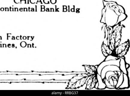 . Les fleuristes [microforme] examen. La floriculture. CHICAGO Continental Bank Bldg. Veuillez noter que ces images sont extraites de la page numérisée des images qui peuvent avoir été retouchées numériquement pour plus de lisibilité - coloration et l'aspect de ces illustrations ne peut pas parfaitement ressembler à l'œuvre originale.. Chicago : les fleuristes Pub. Co Banque D'Images