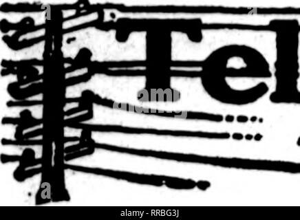 . Les fleuristes [microforme] examen. La floriculture. 26, 1922 Jandabx^ Les fleuristes 69 d'examen. G§]r&amp;p^u =''UCUVC pcUrBlx6U]ry6 le fleuriste* cartes qui apparaissent sur les pages contenant cette tête, sont prêts à remplir les commandes "'*'''' d'autres fleuristes pour la livraison locale sur la base d'habitude.. Veuillez noter que ces images sont extraites de la page numérisée des images qui peuvent avoir été retouchées numériquement pour plus de lisibilité - coloration et l'aspect de ces illustrations ne peut pas parfaitement ressembler à l'œuvre originale.. Chicago : les fleuristes Pub. Co Banque D'Images